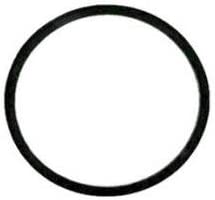Binks 83-1420 Older 5 Gallon Pot Lid Gasket - Ysert