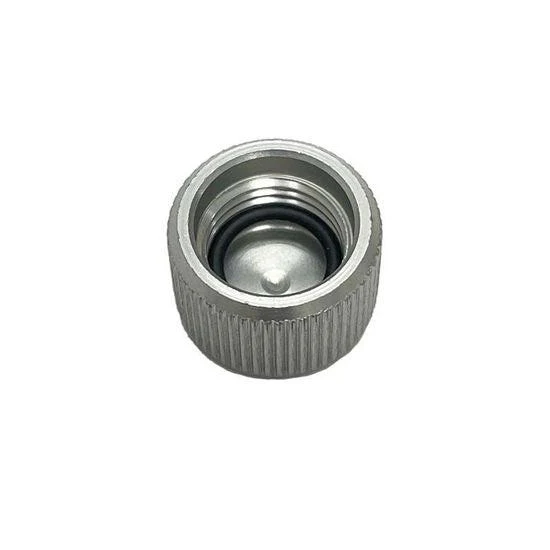 Graco 17S166 Cap Plug - Ysert