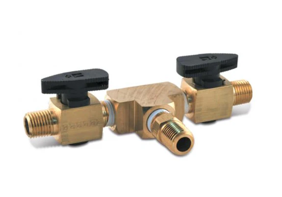 Iwata 2-Way Valve Assembly - Ysert