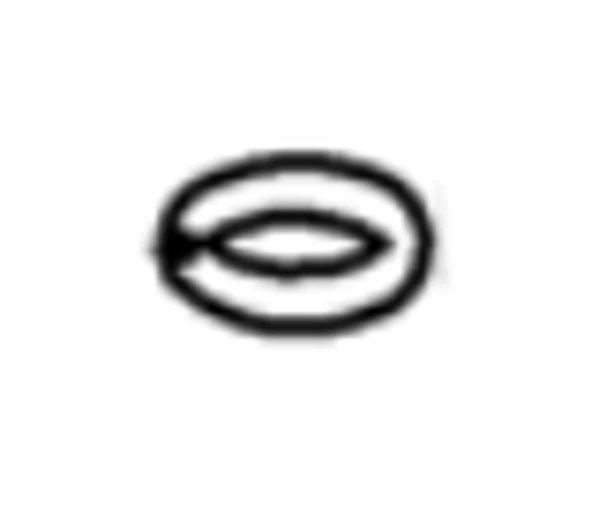 Binks SN-71X-K2 O-Ring (Head Circlulation Only) - Ysert