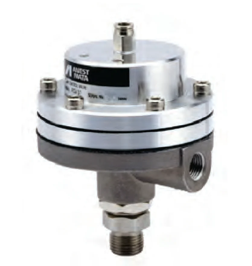 IWATA 14418540 FCV-3 Paint Flow Control Valve - Ysert
