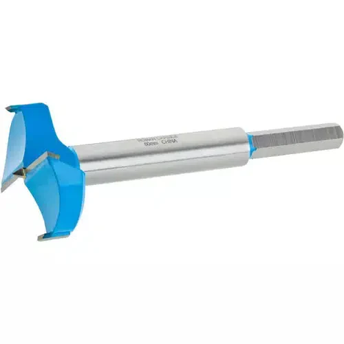 Roman Carbide DC1907 - Forstner Bit - 60mm Carbide - Ysert