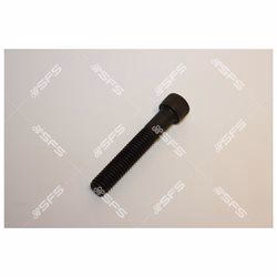 Graco SCREW, CAP, SOCKET HEAD - Ysert