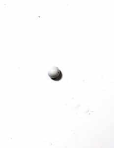 Graco 116-327 Piston Ball, Ceramic - Ysert