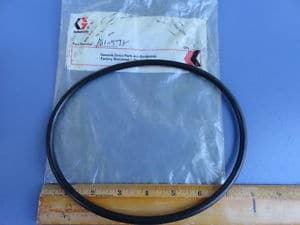 Graco 161-578 Piston O-Ring - Ysert