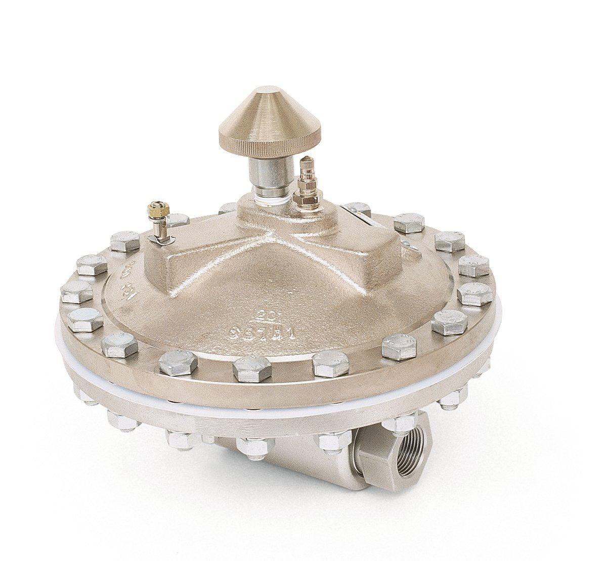 Graco Medium Volume Surge Tank, stainless steel, inlet/outlet: 1 npt(f) x 1-1/4 npt(f) - Ysert