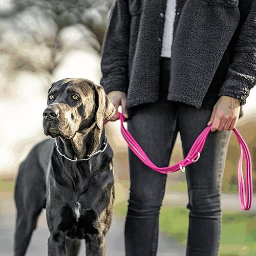 Herm Sprenger, Guinzaglio regolabile per addestramento per cani, sicuro e antiscivolo, impugnatura in nylon gommato, a mani libere, durevole, spessore 1,9 cm, riflettente (1,2 m–2,3 m) (arancione) - Ysert