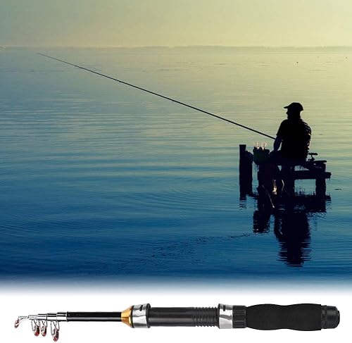 Canna da Pesca Telescopica, Canna da Pesca Portatile Mini Pocket Canna da Pesca Canna da Pesca Canna da Pesca Sul Ghiaccio Mini Strumenti per la Pesca in Mare 28049-100, Canna da Jigging(1M) - Ysert