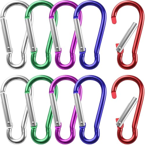 10 Pezzi Moschettone Portachiavi, 5 Colori Piccoli Moschettone Piccolo Alluminio Compatto Leggero Moschettoni Per Zaino Cani al Guinzaglio Campeggio Pesca Viaggi (47 x 22 mm, 5 Colori) - Ysert