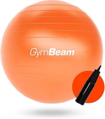 Fit Ball 65 cm, Palla Fitness per Migliorare Stabilità, Equilibrio e Postura, Ideale Palla Pilates per Alleviare Mal di Schiena, con Pompa Inclusa - Ysert