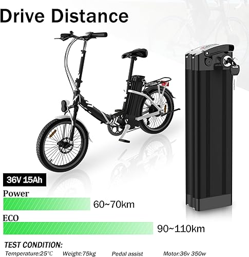 Silver Fish Batteria E-Bike da 36V 15AH Batteria per Bici Pieghevole e Biciclette Elettriche, con Caricabatterie USB (Nero-YM04-36V15AH) - Ysert