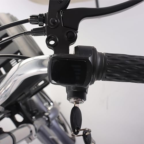 cysum Triciclo Elettrico Pieghevole, 16 pollici Tricycle E Bike per adulti uomo donna, bici elettrica da carico, batteria da 48 V 22 Ah, bici elettrica a 3 ruote - Ysert