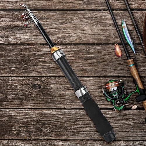 Canna da Pesca Telescopica, Canna da Pesca Portatile Mini Pocket Canna da Pesca Canna da Pesca Canna da Pesca Sul Ghiaccio Mini Strumenti per la Pesca in Mare 28049-100, Canna da Jigging(1M) - Ysert