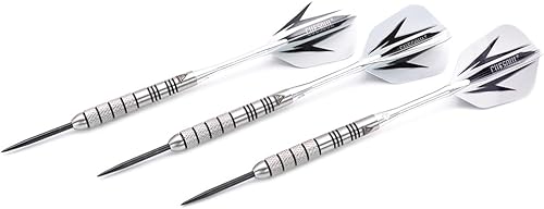 CUESOUL 95% tungsteno 24 Grammi Punta in Acciaio al tungsteno, Set di Freccette con 1 Custodia Deluxe per Freccette (CSTSTD028-24L) - Ysert