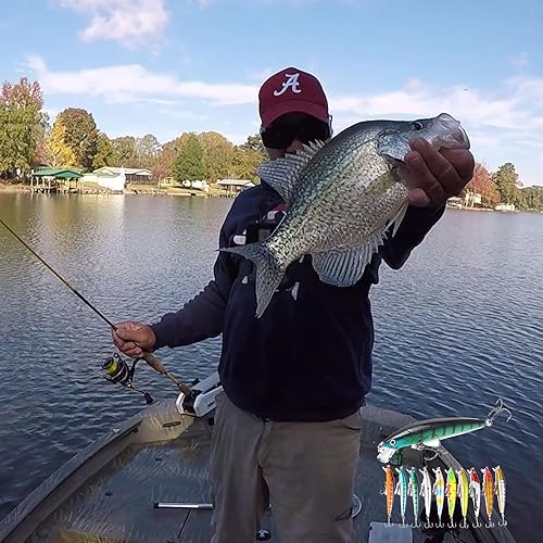 Esche da Pesca, 10 Kit di Esche da Pesca, Artificiale Pesca Richiamo Set, Esche Artificiali 3D Forma di Sanguinerola da Pesca, Attrezzatura di Pesca Esche Artificiali Perfetto per Pesca - Ysert