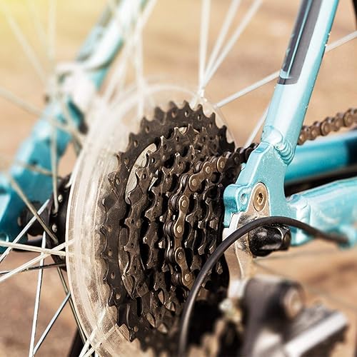 Evonecy Protezione per Raggi della Bici, Disco a Cassetta Resistente a 4 Griffe Protezione per Raggi a Ruota Libera, riduzione dei sedimenti sul volano per Proteggere la Catena - Ysert