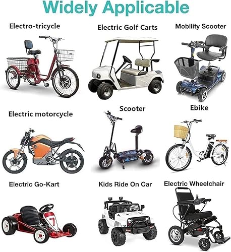 Batteria agli Ioni di Litio per Bici Elettrica da 60 V 30 Ah 16S2P con Caricabatteria E Protezione BMS Integrata per Motori da 200-1500 W. 60V 30Ah,TPlug - Ysert