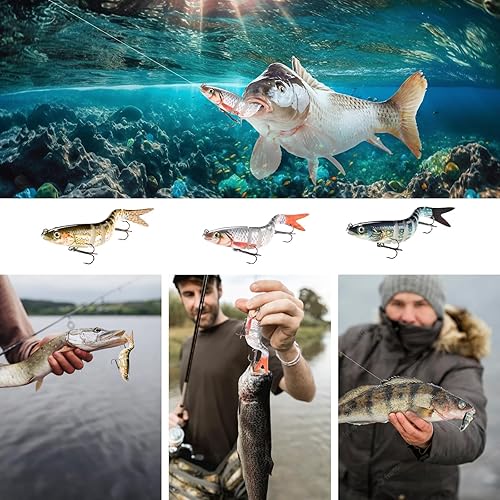 3 Pezzi Esca da Pesca Bionica,Fishing Swimbait Set,Pesca a più Sezioni Dura con Ganci,per Diversi Tipi Pesce - Ysert
