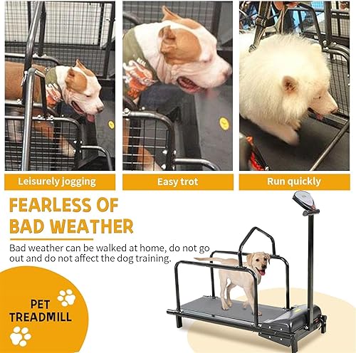 Tapis Roulant per Cani di Taglia Grande, Macchina da Corsa per Animali Domestici per Esercitazioni di Piccoli e Medie Cani, Intervallo di Velocità 0,8-6 Km/H, Carico Massimo 80 Kg/176Lbs - Ysert