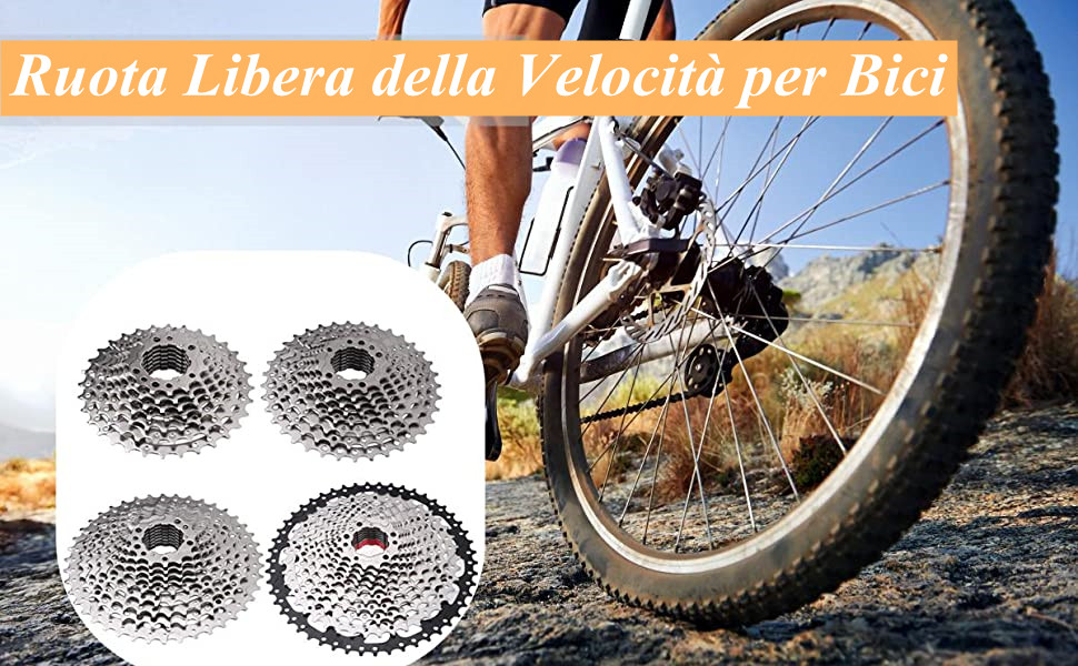 Ruota Libera della Velocità per Bici