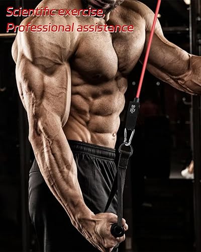 2 Pezzi Maniglie Palestra Cavi Maniglie,Maniglie Fascia Resistenza Ergonomico Manici,Cavo Fissaggio per tricipiti con 2 Pezzi Moschettoni,Allenamento Forza Cardio Attrezzi per Fitness,Allenamento - Ysert