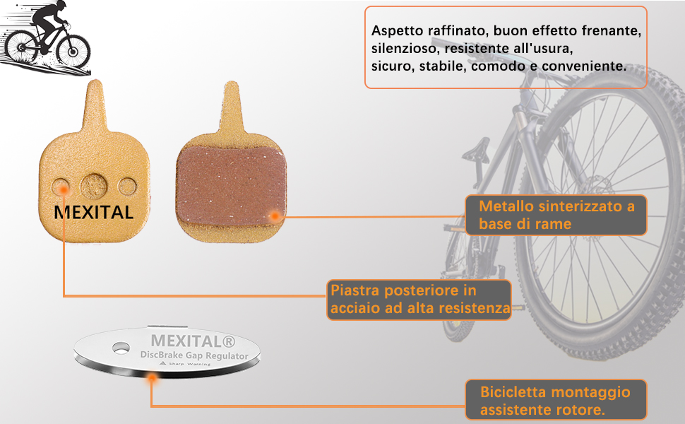 Pastiglie Freno a Disco