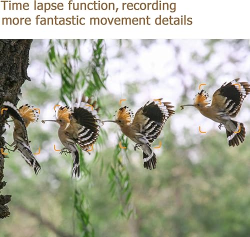 Telecamera da Caccia 32MP 1296P Video con IR 36pcs LEDs Distanza di Visione Notturna 90 piedi, 120° Grandangolo Impermeabile IP65 per la Caccia - Ysert