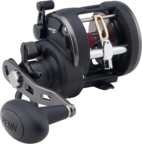 PENN Warfare Level Wind Multiplier Fishing Reel for Saltwater Boat or Kayak Fishing - Ysert