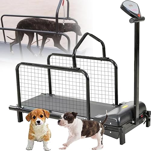 Tapis Roulant per Cani di Taglia Grande, Macchina da Corsa per Animali Domestici per Esercitazioni di Piccoli e Medie Cani, Intervallo di Velocità 0,8-6 Km/H, Carico Massimo 80 Kg/176Lbs - Ysert