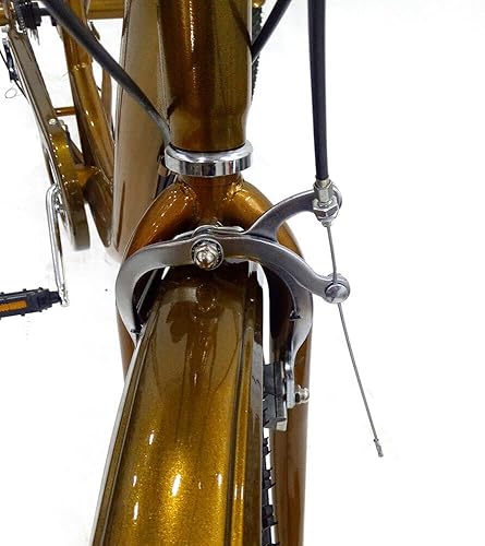 24', triciclo per adulti, 6 marce, bici cruiser a 3 ruote, con cestello grande, per attività all'aperto, shopping, tempo libero, picnic, per donne, uomini, anziani - Ysert