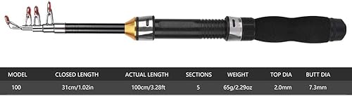 Canna da Pesca Telescopica, Canna da Pesca Portatile Mini Pocket Canna da Pesca Canna da Pesca Canna da Pesca Sul Ghiaccio Mini Strumenti per la Pesca in Mare 28049-100, Canna da Jigging(1M) - Ysert