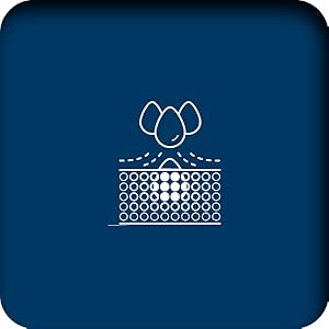 Casa tessile, Webtex, Asciugamano