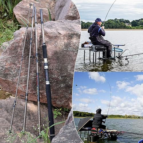 Sougayilang Canna da pesca alla carpa, Porable High Carbon 4 Pc grezzi carpa canna da pesca per viaggi acqua dolce pesca acqua salata - Ysert