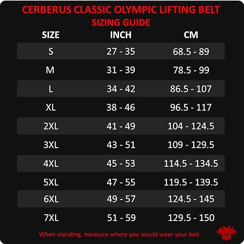 CERBERUS Strength Cintura per sollevamento pesi olimpica classica - Ysert