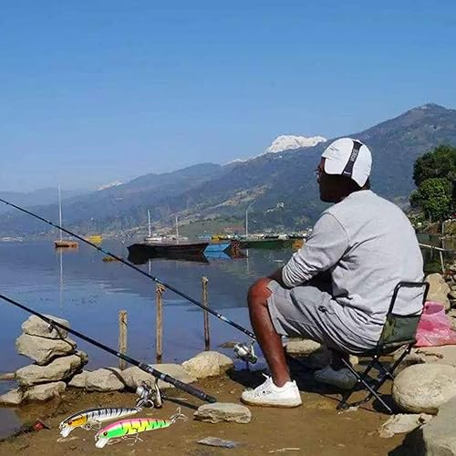 Esche da Pesca, 10 Kit di Esche da Pesca, Artificiale Pesca Richiamo Set, Esche Artificiali 3D Forma di Sanguinerola da Pesca, Attrezzatura di Pesca Esche Artificiali Perfetto per Pesca - Ysert