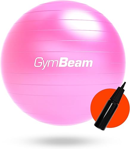 Fit Ball 65 cm, Palla Fitness per Migliorare Stabilità, Equilibrio e Postura, Ideale Palla Pilates per Alleviare Mal di Schiena, con Pompa Inclusa - Ysert