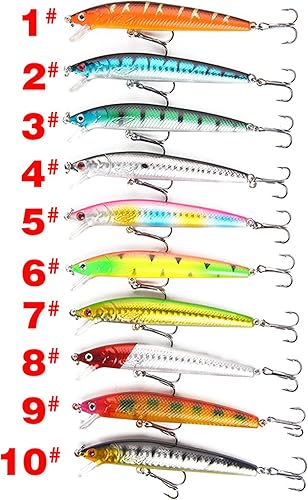 Esche da Pesca, 10 Kit di Esche da Pesca, Artificiale Pesca Richiamo Set, Esche Artificiali 3D Forma di Sanguinerola da Pesca, Attrezzatura di Pesca Esche Artificiali Perfetto per Pesca - Ysert