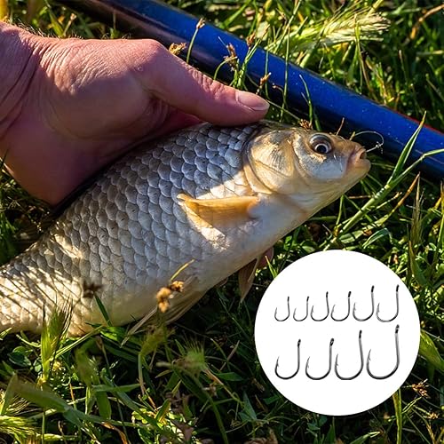 Amo da Pesca, 300 Pz Ami da Pesca in 10 Dimensioni, Amo da Pesca Occhiello, Ganci Spinato, Ami da Pesca in Acciaio al Carbonio con Scatola di Plastica, 3# - 12# - Ysert
