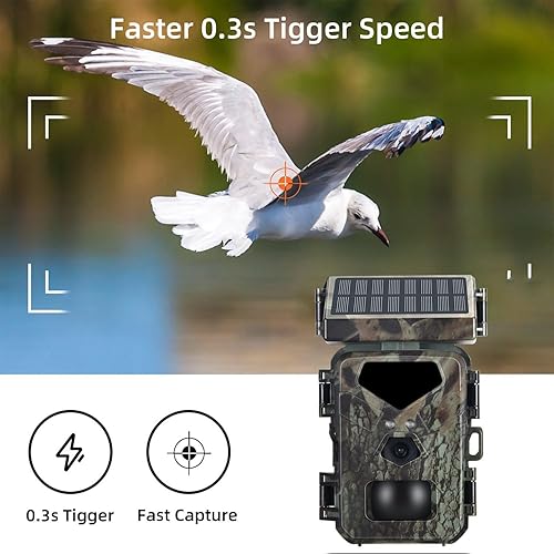 Videocamera da Caccia Mini700 24MP Videocamera di Monitoraggio IR Esterna IP65 Ricerca su Animali Selvatici con Pannelli Solari - Ysert