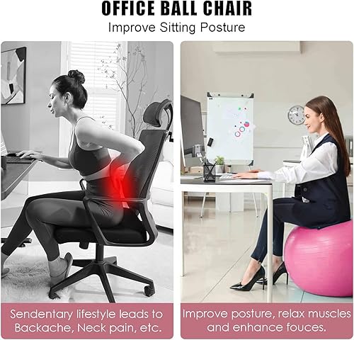 Palla Fitness e Palla Pilates Set di 2 Palle 65cm e 25cm Palla da Ginnastica per Fitness Yoga e Pilates Incluso il Gonfiatore - Ysert