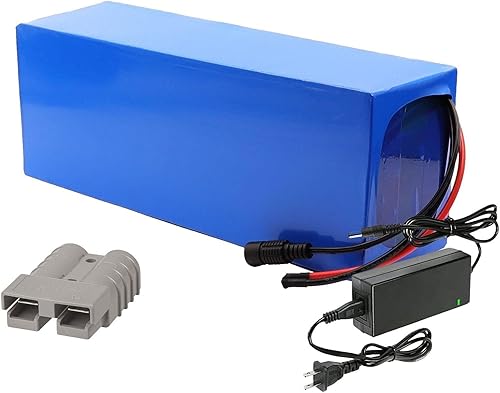 Batteria al Litio Ricaricabile Personalizzabile da 72 V 60 Ah, Pacco Batteria al Litio con Caricabatterie e BMS, Spina Anderson, per Motore da 1000 W a 5600 W - Ysert