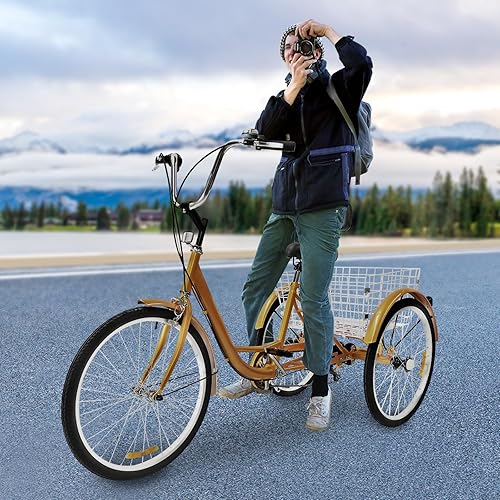 Bicicletta da carico da 24 pollici, 6 marce, triciclo pieghevole con cestino per la spesa, triciclo per adulti, bici con luce a LED, porta bicchiere - Ysert