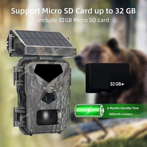 Videocamera da Caccia Mini700 24MP Videocamera di Monitoraggio IR Esterna IP65 Ricerca su Animali Selvatici con Pannelli Solari - Ysert