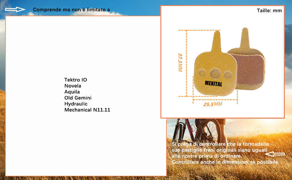 Pastiglie Freno a Disco