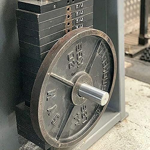 Attrezzatura da Allenamento per Uso Domestico, Perno di Sostituzione Pacco Pesi, Perno di Estensione Pacco Cavi, aggiunta di Pesi Extra ai pacchi Pesi Originali, 100 mmφ10 mm, macc - Ysert