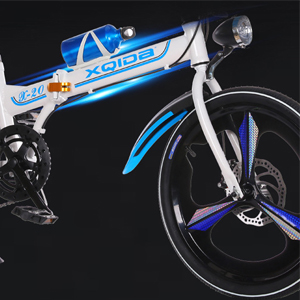 Bicicletta pieghevole