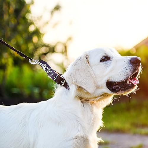 Moschettone a Doppia Estremità, 8 pezzi Doppio Snap Moschettone in Acciaio Inox, Gancio a Scatto utilizzato per Guinzagli per Cani, Alpinismo, Campeggio Familiare All'aperto, 88 mm - Ysert