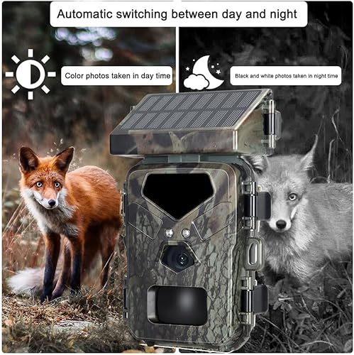 Videocamera da Caccia Mini700 24MP Videocamera di Monitoraggio IR Esterna IP65 Ricerca su Animali Selvatici con Pannelli Solari - Ysert