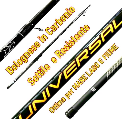 Combo Pesca Bolognese Canna Carbonio 5 Metri Mulinello e Filo Mare Lago Fiume - Ysert