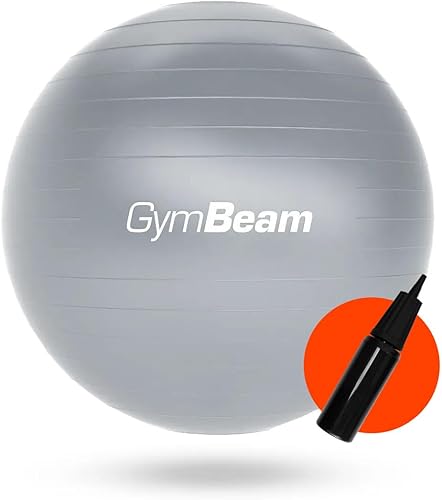 Fit Ball 65 cm, Palla Fitness per Migliorare Stabilità, Equilibrio e Postura, Ideale Palla Pilates per Alleviare Mal di Schiena, con Pompa Inclusa - Ysert